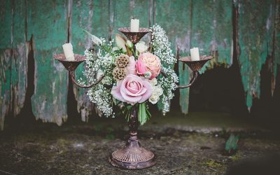 A Lovely Shoot